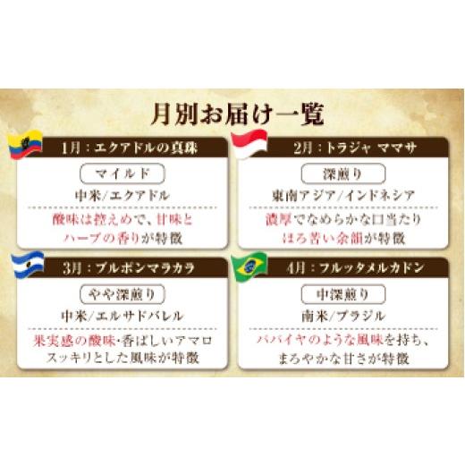 ふるさと納税 コーヒー コーヒー豆 広島県 江田島市  全12回定期便 豆 島の焙煎所おすすめ『江田島シティローストブレンド』＆毎月変わるコーヒー 江田島市／C…_3