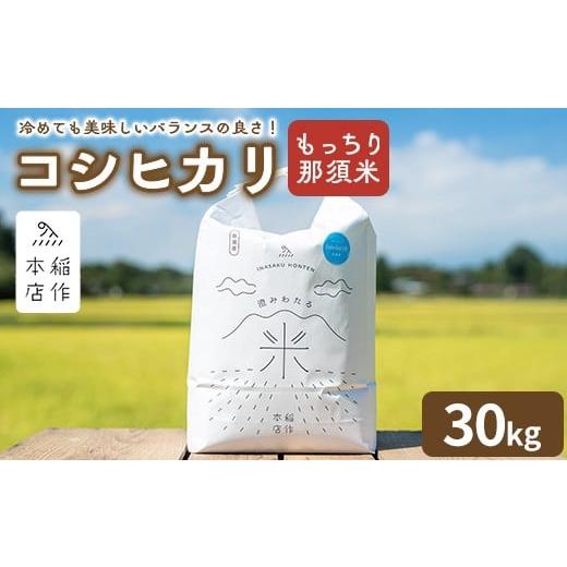 ふるさと納税 米 コシヒカリ 栃木県 那須町 令和7年産 もっちり那須米 コシヒカリ 30kg〔P-287〕 | こしひかり 米 お米 コメ こめ 精米 もっちり感 甘み ツヤ…_1