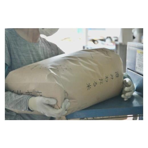 ふるさと納税 米 コシヒカリ 栃木県 那須町 令和7年産 もっちり那須米 コシヒカリ 30kg〔P-287〕 | こしひかり 米 お米 コメ こめ 精米 もっちり感 甘み ツヤ…_2