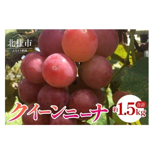 ふるさと納税 果物類 ぶどう 山梨県 北杜市 2026年発送 先行予約 クイーンニーナ 約1.5kg ぶどう 3房入り 山梨県産 ブドウ フルーツ 果物 赤ぶどう 葡萄 低…