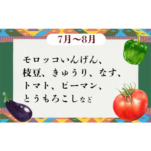 ふるさと納税 セット・詰合せ 茨城県 下妻市  訳あり 6ヶ月連続お届け お楽しみ野菜セット （ 7袋 ） フードロス対策 野菜 詰め合わせ お任せ 訳あり フードロ…_3
