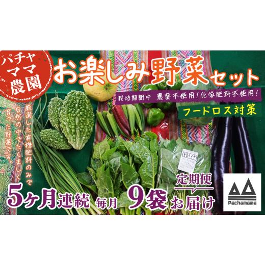 ふるさと納税 セット・詰合せ 茨城県 下妻市  訳あり 5ヶ月連続お届け お楽しみ野菜セット （ 9袋 ） フードロス対策 野菜 詰め合わせ お任せ 訳あり フードロ…_1