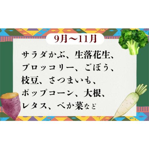 ふるさと納税 セット・詰合せ 茨城県 下妻市  訳あり 5ヶ月連続お届け お楽しみ野菜セット （ 9袋 ） フードロス対策 野菜 詰め合わせ お任せ 訳あり フードロ…_4