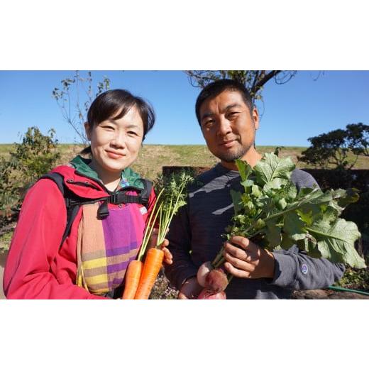ふるさと納税 セット・詰合せ 茨城県 下妻市  訳あり 5ヶ月連続お届け お楽しみ野菜セット （ 9袋 ） フードロス対策 野菜 詰め合わせ お任せ 訳あり フードロ…_7