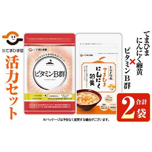 ふるさと納税 加工品等 鹿児島県 日置市 No.1297 活力セット(てまひま にんにく卵黄・ビタミンB群/各1袋) 鹿児島 日置市 ニンニク 健康食品 加工食品 栄養 元…