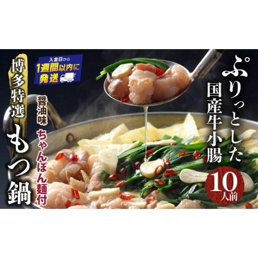 ふるさと納税 牛肉 もつ鍋 福岡県 篠栗町 プリプリの国産牛小腸のみ使用・ボリュームたっぷり10人前 博多特選もつ鍋(醤油味・10人前) 福岡ブランド | 短期配…