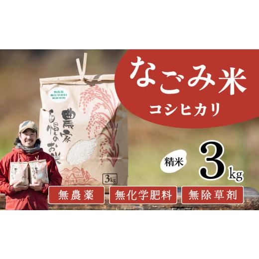 ふるさと納税 米 コシヒカリ 茨城県 下妻市 11月発送 茨城県下妻市産 なごみ米( コシヒカリ ) 精米 3kg お米 コシヒカリ 米 無農薬 無化学肥料 無除草剤 …
