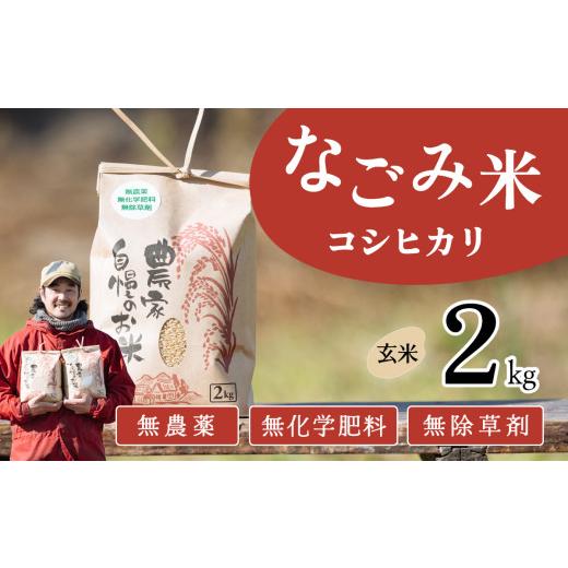 ふるさと納税 玄米 茨城県 下妻市 2月発送 茨城県下妻市産 なごみ米( コシヒカリ ) 玄米 2kg お米 コシヒカリ 米 無農薬 無化学肥料 無除草剤 玄米 自然 …
