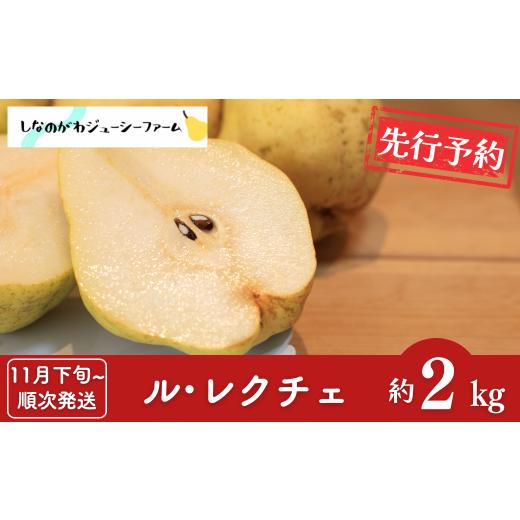 ふるさと納税 梨 新潟県 三条市 先行予約 ル・レクチェ2kg 11月下旬から順次発送予定 新潟県三条市産 ルレクチェ しなのがわジューシーファーム 洋梨の貴婦人 …
