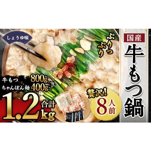 ふるさと納税 モツ鍋 福岡県 遠賀町 2025年12月発送 国産もつ鍋 8人前 冷凍ちゃんぽん・濃縮スープ付き(醤油味) 2025年12月発送