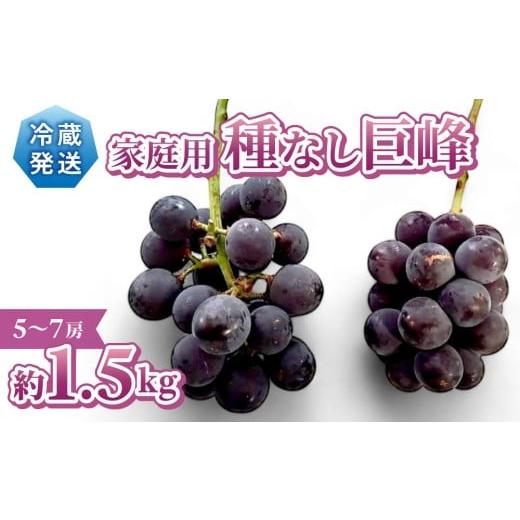 ふるさと納税 ぶどう 巨峰 長野県 東御市 先行受付2026年発送 Grape Farm Kodaira 家庭用種なし巨峰 約1.5kg(5〜7房) 2026年9月中旬以降発送予定