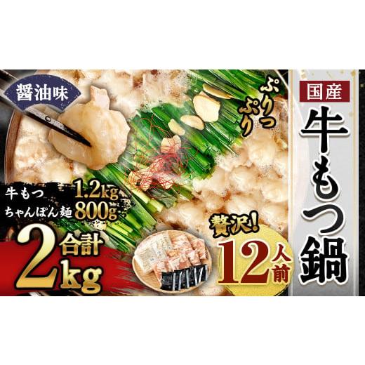 ふるさと納税 モツ鍋 福岡県 遠賀町 2026年1月発送 国産 牛もつ鍋 12人前 ちゃんぽん 濃縮スープ付(醤油味) 2026年1月発送