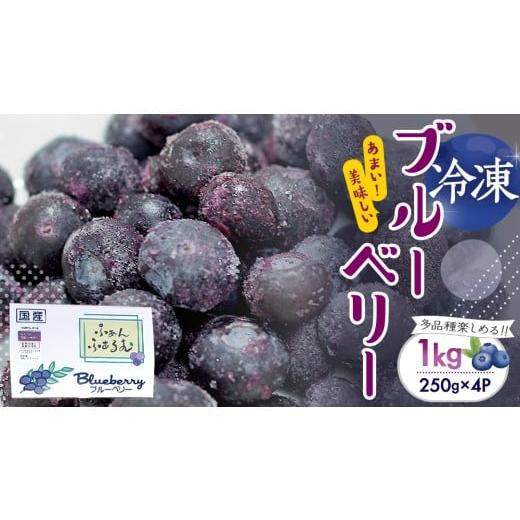 ふるさと納税 果物類 茨城県 桜川市 茨城県産 冷凍 ブルーベリー 合計 1kg (250g×4袋) 2025年7月中旬から発送開始 多品種 果実 果物 くだもの フルーツ おや…