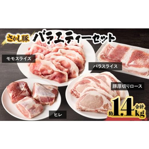 ふるさと納税 豚肉 セット 鹿児島県 鹿屋市 鹿屋産 豚肉 バラエティーセット 10月お届け KN079-003-10 (11)10月お届け