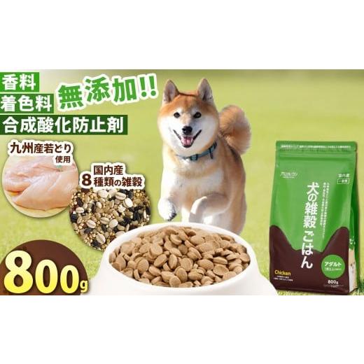ふるさと納税 雑貨・日用品 熊本県 玉名市 アニマル・ワン 雑穀ごはん 800g×1袋 | 愛犬 犬 ドッグフード 雑穀 国産 無添加 プレミアム 熊本県 玉名市 容量:8…