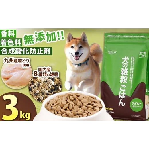 ふるさと納税 雑貨・日用品 熊本県 玉名市 アニマル・ワン 雑穀ごはん 3kg×1袋 | 愛犬 犬 ドッグフード 雑穀 国産 無添加 プレミアム 熊本県 玉名市 容量:3k…