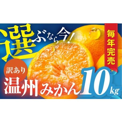 ふるさと納税 果物類 みかん 愛知県 豊橋市 温州みかん ご家庭用 10kg 訳あり 年末配送 年内配送 選べる わけあり 10キロ みかん ミカン 蜜柑 mikan 柑橘 旬 …