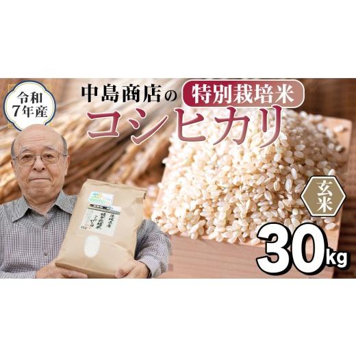 ふるさと納税 玄米 茨城県 つくばみらい市 令和7年産 茨城県産 玄米 特別栽培米 コシヒカリ 30kg （30kg×1袋） こしひかり 米 コメ こめ 単一米 限定 茨城県…_1