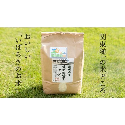 ふるさと納税 玄米 茨城県 つくばみらい市 令和7年産 茨城県産 玄米 特別栽培米 コシヒカリ 30kg （30kg×1袋） こしひかり 米 コメ こめ 単一米 限定 茨城県…_2