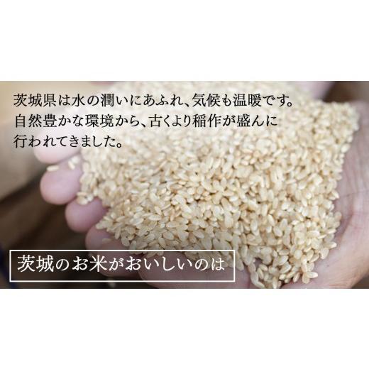 ふるさと納税 玄米 茨城県 つくばみらい市 令和7年産 茨城県産 玄米 特別栽培米 コシヒカリ 30kg （30kg×1袋） こしひかり 米 コメ こめ 単一米 限定 茨城県…_3