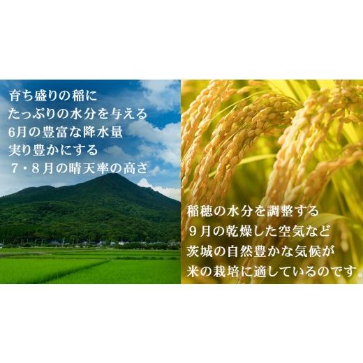 ふるさと納税 玄米 茨城県 つくばみらい市 令和7年産 茨城県産 玄米 特別栽培米 コシヒカリ 30kg （30kg×1袋） こしひかり 米 コメ こめ 単一米 限定 茨城県…_4