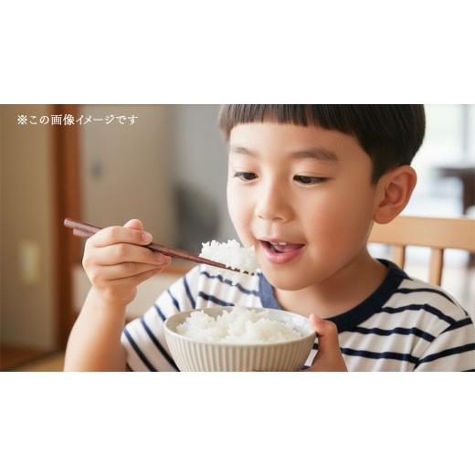 ふるさと納税 玄米 茨城県 つくばみらい市 令和7年産 茨城県産 玄米 特別栽培米 コシヒカリ 30kg （30kg×1袋） こしひかり 米 コメ こめ 単一米 限定 茨城県…_6
