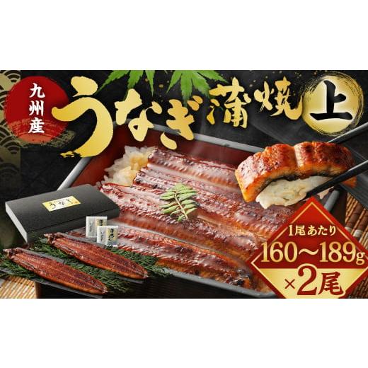ふるさと納税 うなぎ 福岡県 北九州市 九州産 うなぎ 蒲焼 上 2尾 (1尾あたり160〜189g) 2025年12月発送 2025年12月発送