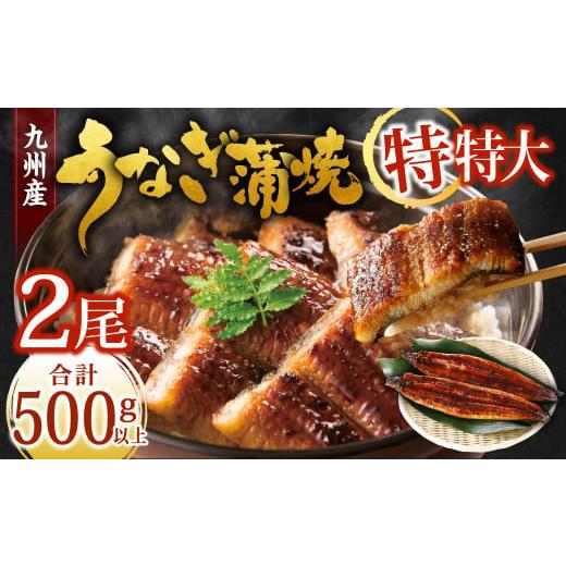 ふるさと納税 うなぎ 福岡県 北九州市 九州産 うなぎ蒲焼 特特大2尾 (1尾あたり250〜266g) 合計500g以上 2025年12月発送 2025年12月発送