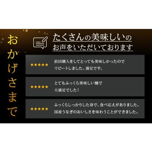 ふるさと納税 ウナギ 愛知県 豊橋市  12回 定期便 国産若ウナギ 3尾 老舗 国産ウナギ 仕かける 詰め合わせ 蒲焼 鰻 3尾 ウナギ 鰻 鰻 unagi 土用 丑の日…