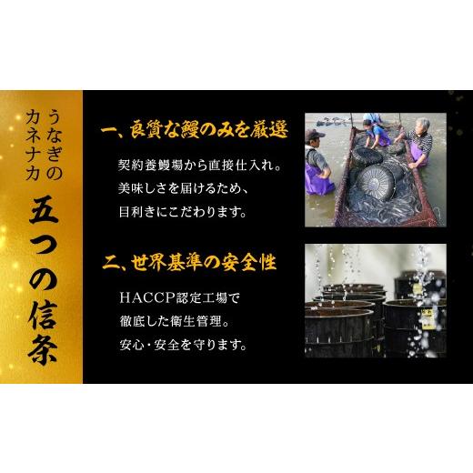 ふるさと納税 ウナギ 愛知県 豊橋市  12回 定期便 国産若ウナギ 3尾 老舗 国産ウナギ 仕かける 詰め合わせ 蒲焼 鰻 3尾 ウナギ 鰻 鰻 unagi 土用 丑の日…