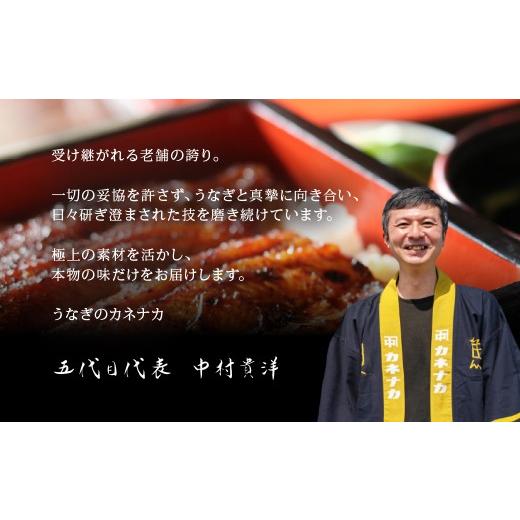 ふるさと納税 ウナギ 愛知県 豊橋市  12回 定期便 国産若ウナギ 3尾 老舗 国産ウナギ 仕かける 詰め合わせ 蒲焼 鰻 3尾 ウナギ 鰻 鰻 unagi 土用 丑の日…
