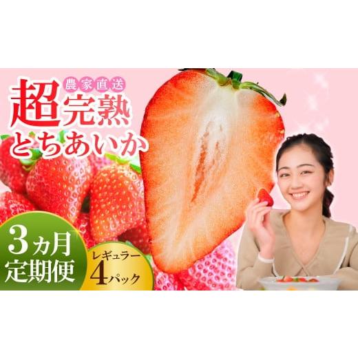 ふるさと納税 いちご 栃木県 茂木町 いちご 3回定期便 小島さんちの完熟 とちあいか レギュラーサイズ 約270g×4パック 合計 約1080g 先行受付:1月中旬以降発…