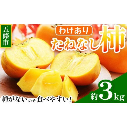 ふるさと納税 果物類 柿 奈良県 五條市 わけあり たねなし柿 約3kg | フルーツ くだもの 果物 柿 かき たねなし わけあり自宅用 家庭用 デザート 人気 国産 産…