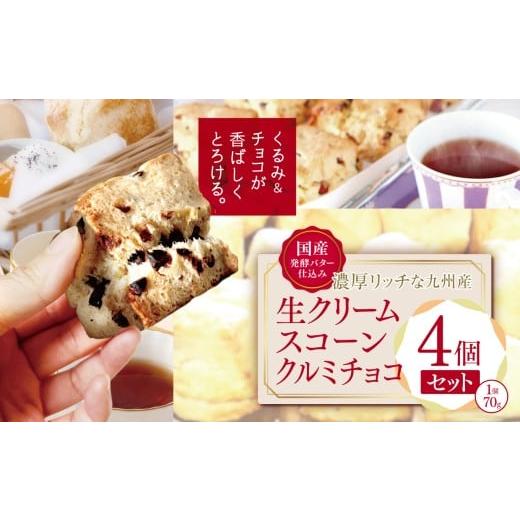 ふるさと納税 焼菓子・チョコレート 大分県 中津市 国産発酵バター仕込み濃厚リッチな九州産生クリームスコーン クルミチョコ4個セット | お菓子 菓子 おかし …
