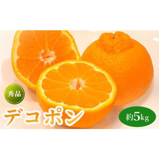 ふるさと納税 みかん・柑橘類 デコポン 香川県 丸亀市 先行予約 デコポン 約5kg 果物 フルーツ デコポン 不知火 みかん 蜜柑 柑橘 デザート スイーツ ケーキ …