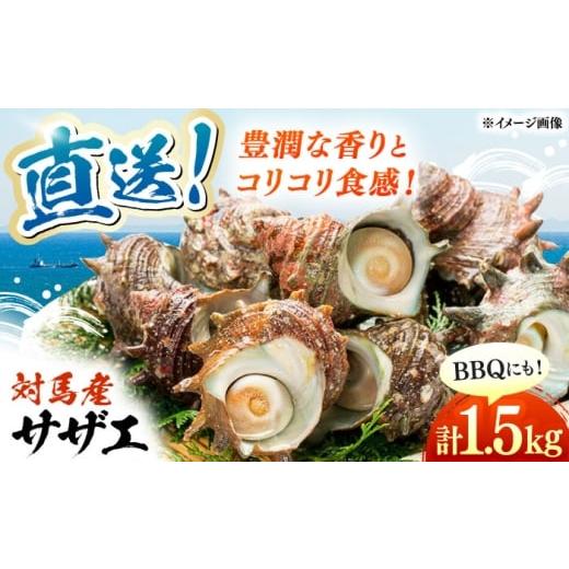 ふるさと納税 サザエ 長崎県 対馬市 対馬直送 サザエ 1.5kg [対馬市] うえはら株式会社 産地直送 冷凍配送 さざえ 栄螺 BBQ 魚介 海鮮 対馬 長崎 つぼ焼き W…