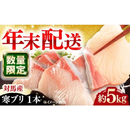 ふるさと納税 旬の鮮魚等 長崎県 対馬市 年末に指定でお届け 対馬産 寒ブリ 5kg前後 1本 対馬市 うえはら株式会社 産地直送 冷蔵 冷蔵配送 ブリ ぶり 鰤 海鮮…