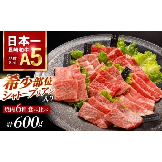 ふるさと納税 牛肉 焼肉・バーベキュー 長崎県 諫早市 希少部位 シャトーブリアン入り 長崎和牛 希少部位 焼肉 6種食べ比べセット 600g(各100g) / 国産 牛肉…