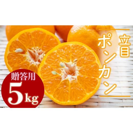 ふるさと納税 みかん・柑橘類 高知県 須崎市 2026年2月より発送 高知県産 立目ぽんかん 5kg 贈答用 優品 みかん 須崎市 KJS002_3x 冷蔵配送 立目ぽんかん 贈…