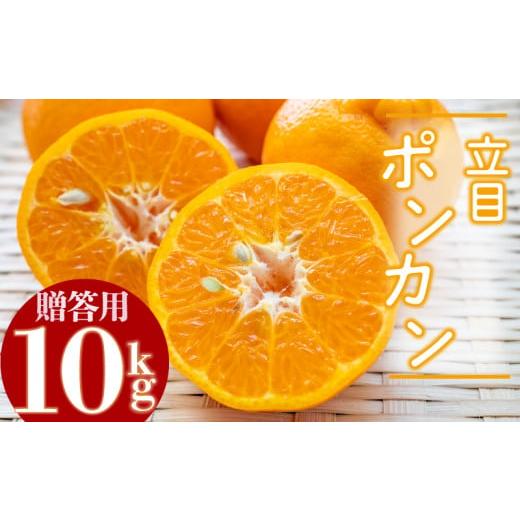 ふるさと納税 みかん・柑橘類 高知県 須崎市 2026年2月より発送 高知県産 立目 ぽんかん みかん 柑橘 特上品 10kg 優品 国産 ブランド 高知 ビタミン 生産者 …