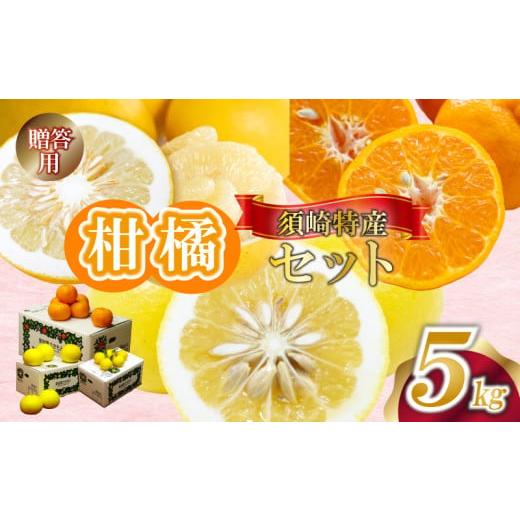 ふるさと納税 みかん・柑橘類 高知県 須崎市 定期便 3回 限定30セット 須崎特産柑橘 贈答用 計 15kg 箱セット 各 5kg ポンカン 土佐文旦 小夏 ぽんかん 土佐 …