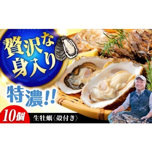 ふるさと納税 牡蠣 生牡蠣 広島県 江田島市 2月19日(木)着 高品質の牡蠣を産地直送 生牡蠣 着日指定可能 『てつまるかき』牡蠣 殻付き 10個 加熱用 かき 海…
