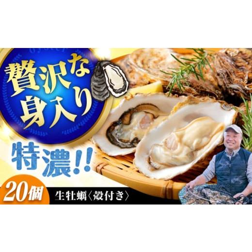 ふるさと納税 牡蠣 生牡蠣 広島県 江田島市 3月6日(金)着 高品質の牡蠣を産地直送 生牡蠣 着日指定可能 『てつまるかき』牡蠣 殻付き 20個 加熱用 かき 海…