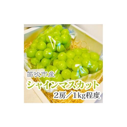 ふるさと納税 ぶどう マスカット 山梨県 笛吹市 2026年発送 先行予約 こだわりの逸品 甘さと香り際立つ山梨県産シャインマスカット2房(合計1kg程度) 229-00…