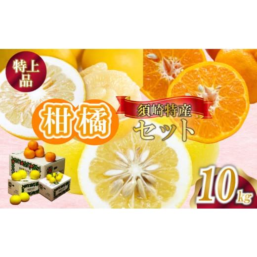 ふるさと納税 みかん・柑橘類 高知県 須崎市 定期便 3回 限定25セット ポンカン 土佐文旦 小夏 各 10kg 特上品 須崎特産 みかん ミカン 立目ぽんかん 土佐文旦…