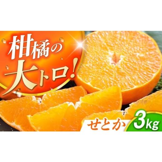 ふるさと納税 みかん・柑橘類 長崎県 長与町 露地栽培 せとか約3kg(12-15玉) 長与/JAじげもん長与直売所