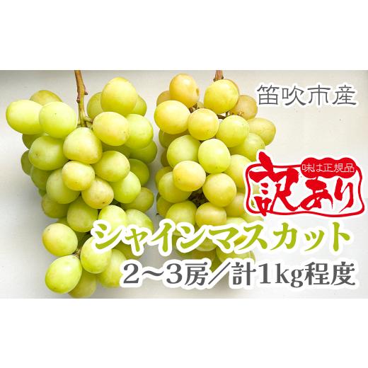 ふるさと納税 ぶどう マスカット 山梨県 笛吹市 2026年発送 先行予約 訳あり品 山梨県産シャインマスカット2房〜3房(合計1kg程度) 229-009-26y 2026年発送
