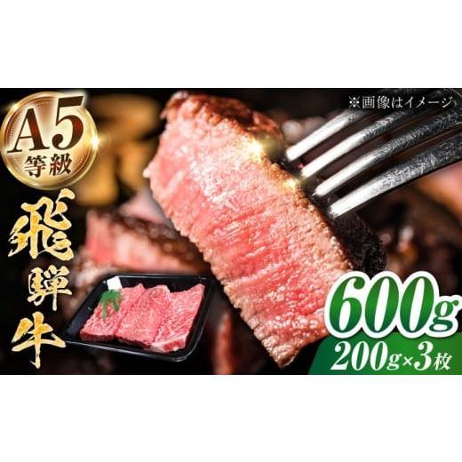 ふるさと納税 牛肉 ステーキ 岐阜県 多治見市 A5等級 飛騨牛 モモ ステーキ 600g(200g×3枚) 多治見市 / トキノ屋食品 冷凍 赤身 のし対応 ギフト THJ003 60…