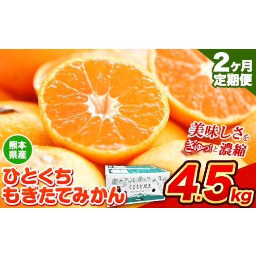 ふるさと納税 果物類 みかん 熊本県 荒尾市 先行予約 2か月定期便 訳あり みかん ひとくちもぎたてみかん 約 4.5kg (4.5kg×1箱) S-3Sサイズ 訳あり ご家庭用…