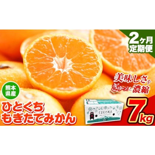 ふるさと納税 果物類 みかん 熊本県 荒尾市 先行予約 2か月定期便 訳あり みかん ひとくちもぎたてみかん 約 7kg (7kg×1箱) S-3Sサイズ 訳あり ご家庭用 熊…